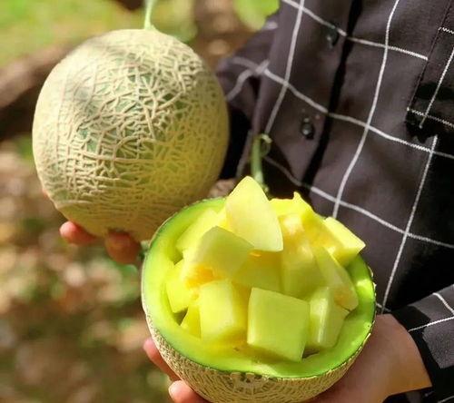 娱乐圈吃瓜壁纸高清图片,高清壁纸下的明星生活众生相 第3张 娱乐圈吃瓜壁纸高清图片,高清壁纸下的明星生活众生相 第3张